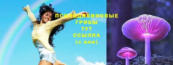 гашик Алексин