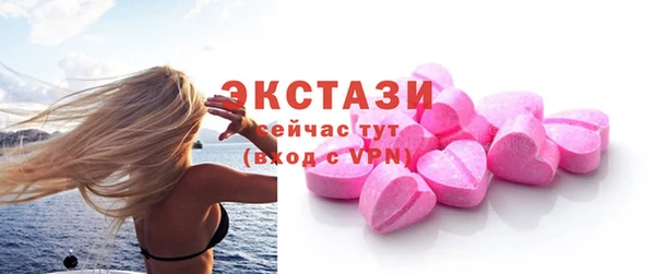гашик Алексин