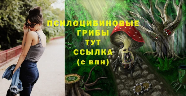 MDMA Premium VHQ Алексеевка