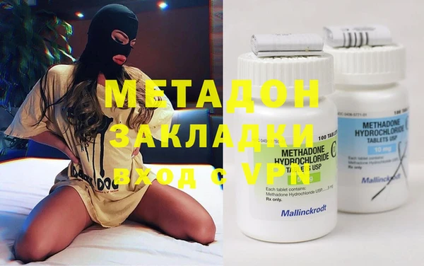 гашик Алексин
