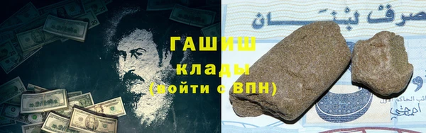 гашик Алексин