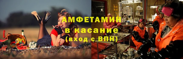 гашик Алексин